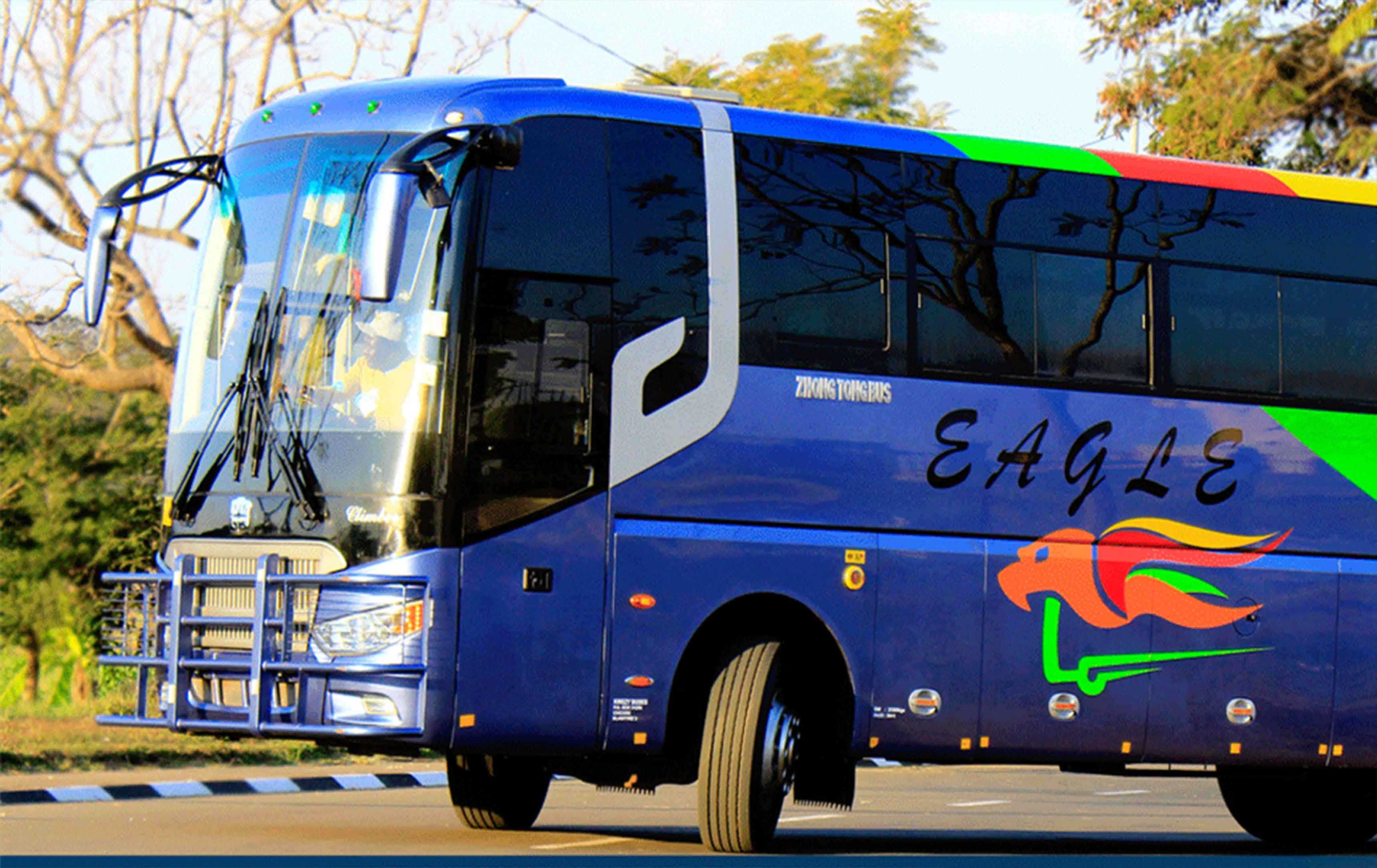 Kwezy Buses